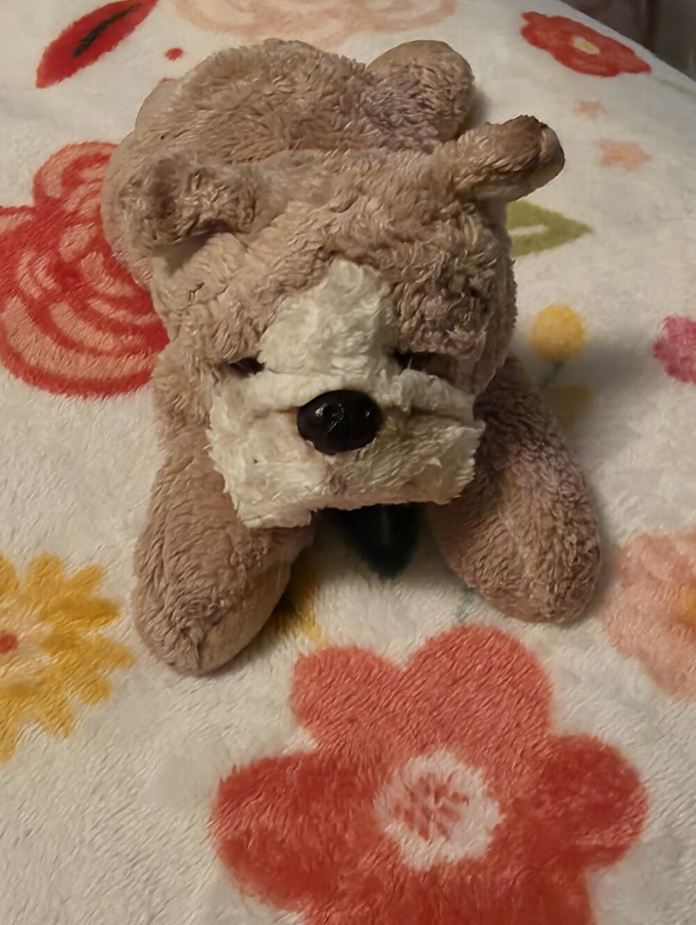Plush Small Pet Toy - Soft Tan & Cream Plush Roddy